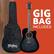 GIG BAG INCLUDED
Washburn