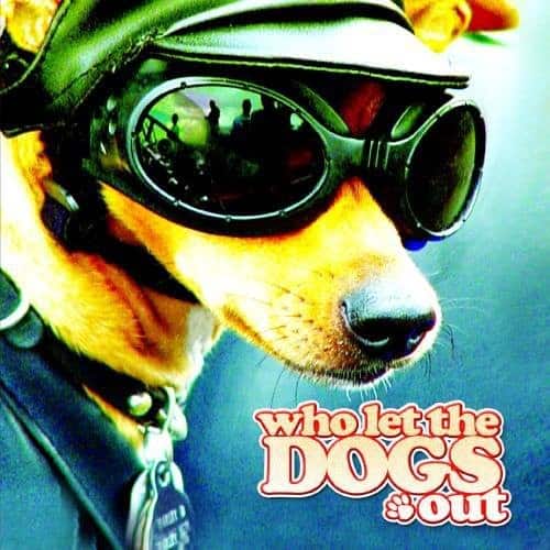 The Doggies - Who Let the Dogs Out   - COMPACT DISCS [CD] price history on PriceWatchPro