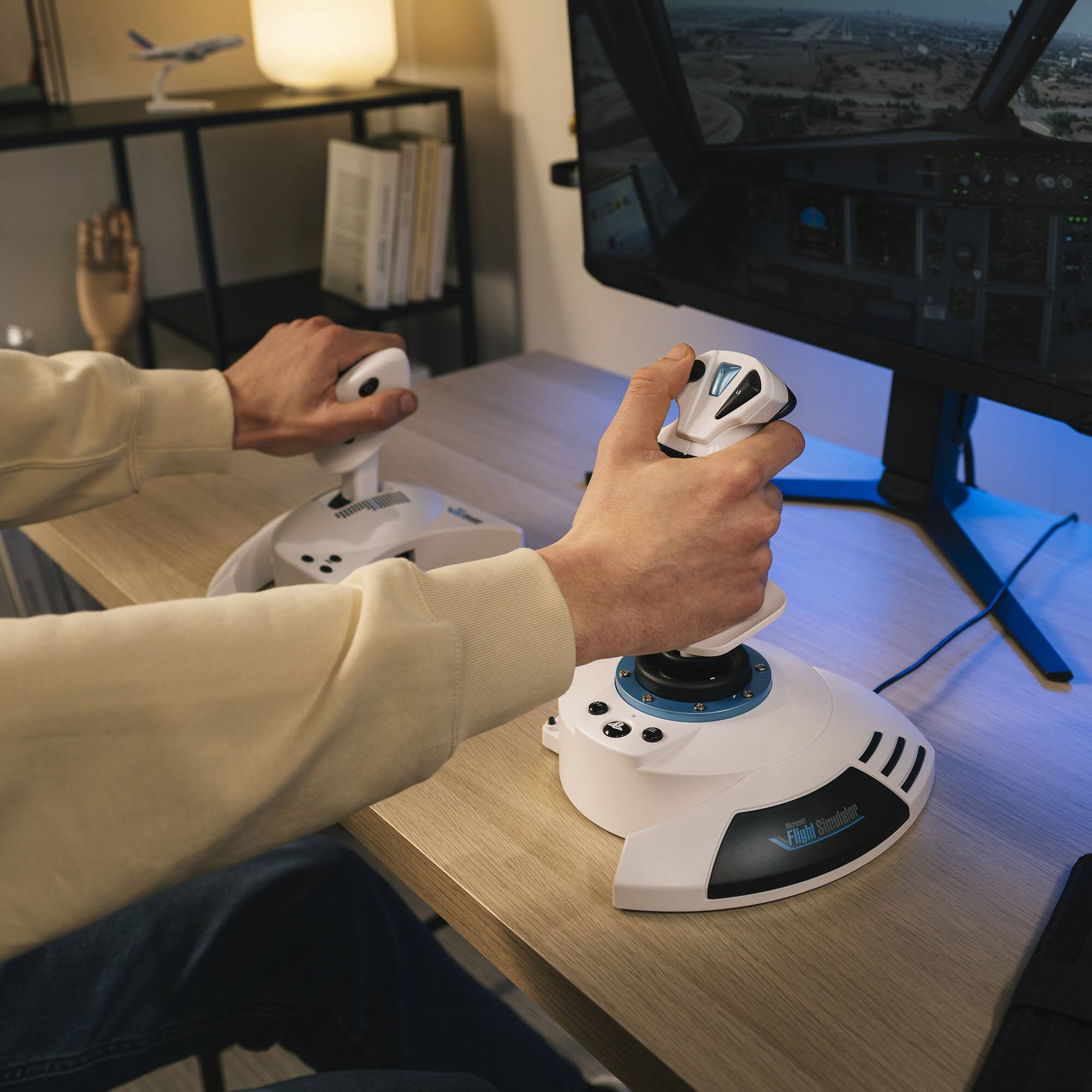 Mosette - Flight Simulator