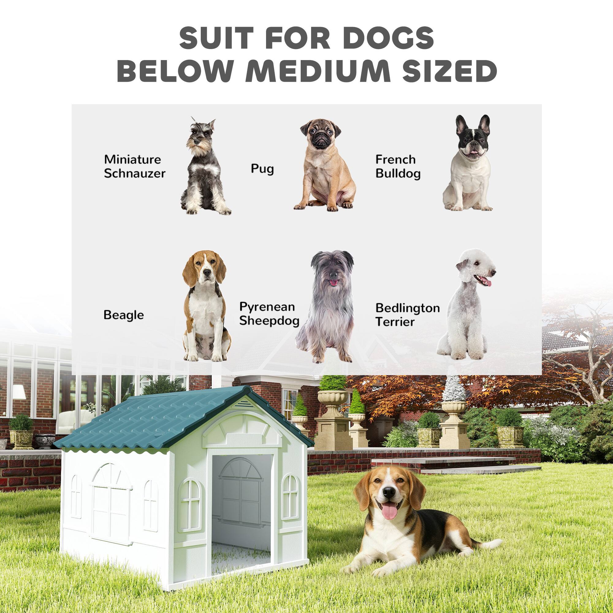 SUIT FOR DOGS BELOW MEDIUM SIZED

- Miniature Schnauzer
- Pug
- French Bulldog
- Beagle
- Pyrenean Sheepdog
- Bedlington Terrier