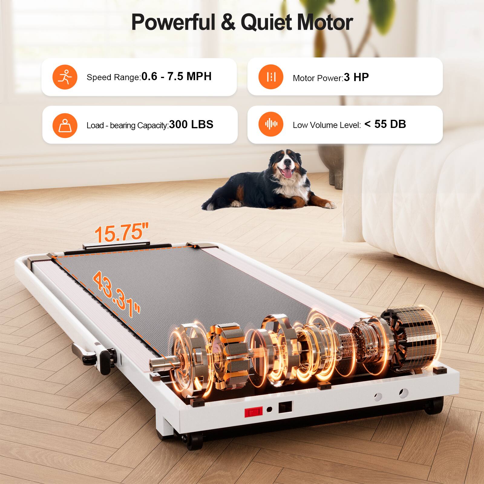 Powerful & Quiet Motor

- Speed Range: 0.6 - 7.5 MPH
- Motor Power: 3 HP
- Load-bearing Capacity: 300 LBS
- Low Volume Level: < 55 DB

15.75" x 43.31"