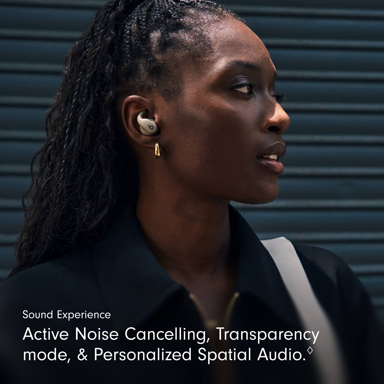 Sound Experience  
Active Noise Cancelling, Transparency mode, & Personalized Spatial Audio.