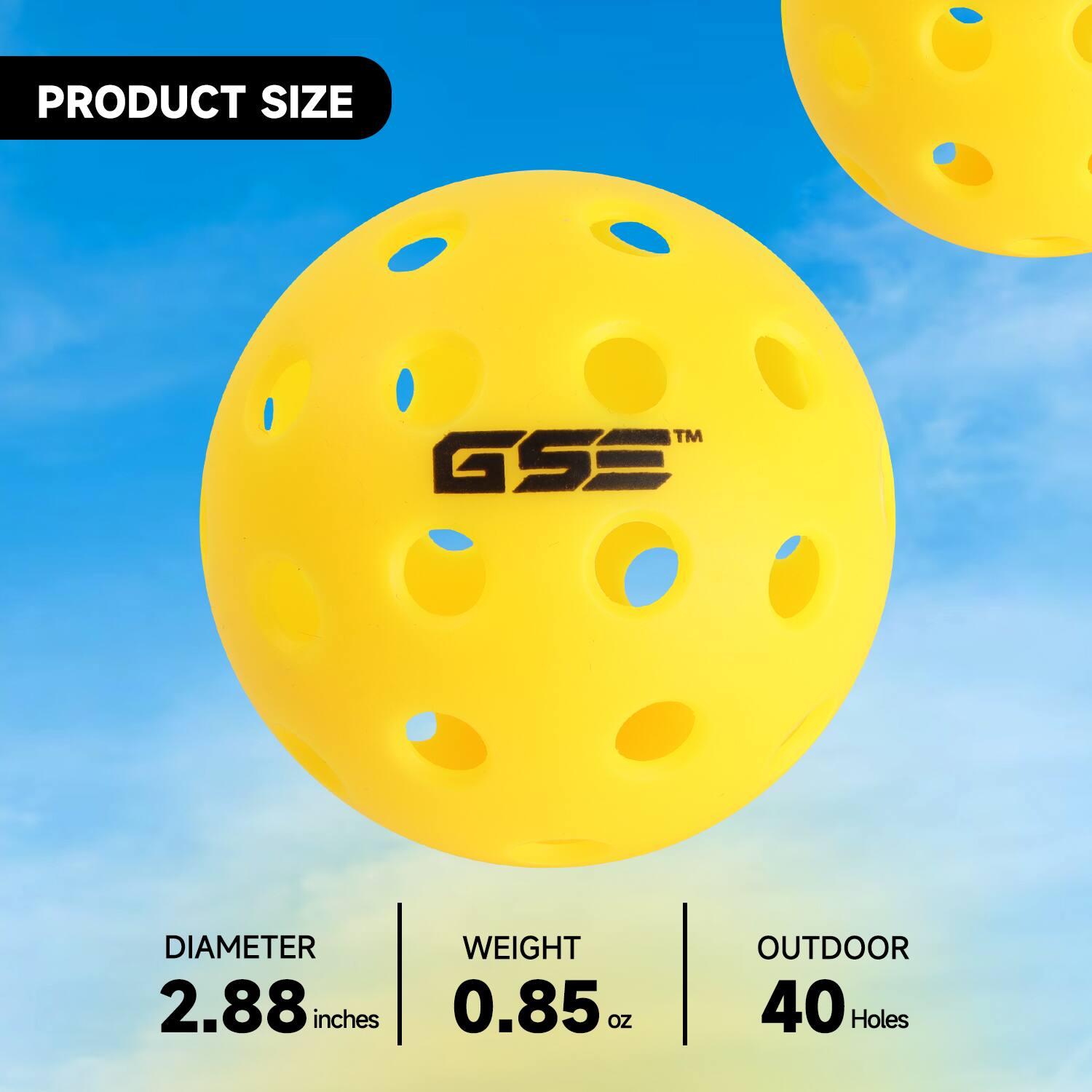 PRODUCT SIZE
DIAMETER 2.88 inches
WEIGHT 0.85 oz
OUTDOOR 40 Holes
TM GSE