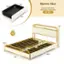 Queen Size Recommended Mattress Thickness: 8"-10"

Dimensions: 40" x 40"

Weight Capacity: 1100 lbs

Dimensions of the mattress: 13.5" x 86.5"

Dimensions of the bed frame: 64"