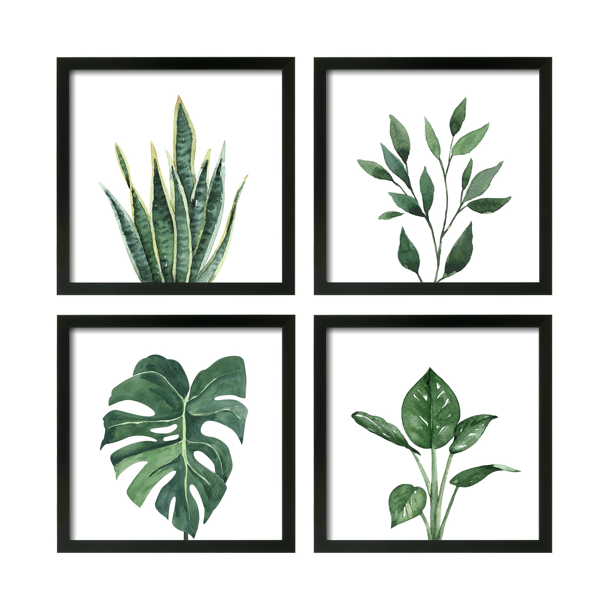 Front. Fabibe - ArtbyHannah Framed Bathroom Wall Decor, 10x10 Inch Botanical Wall Art with Sage Green Plant Print for Wall Decoration, M - Black 8x8 Inch.