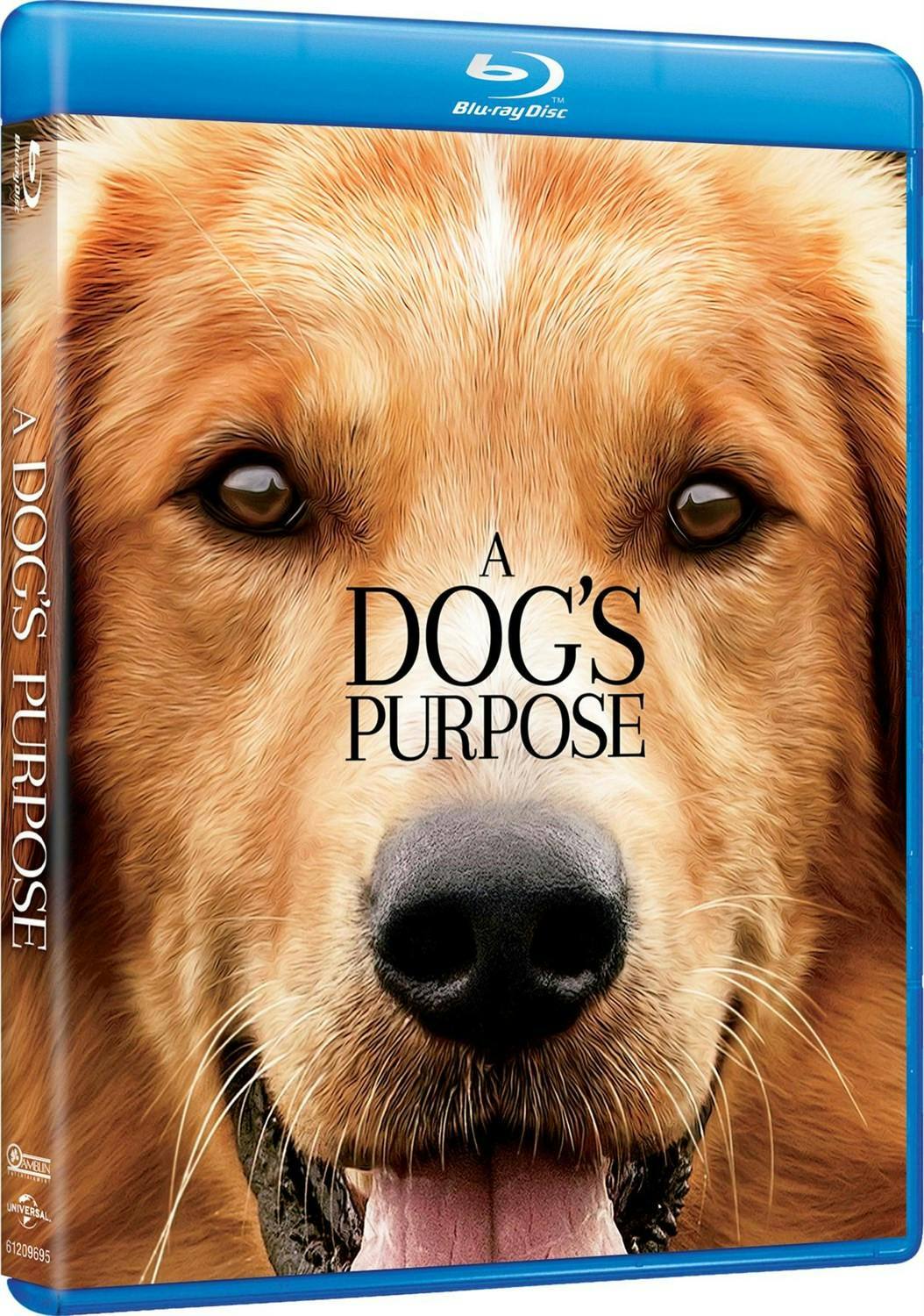 Angle. A Dog's Purpose (Blu-ray New Box Art) [Blu-ray].