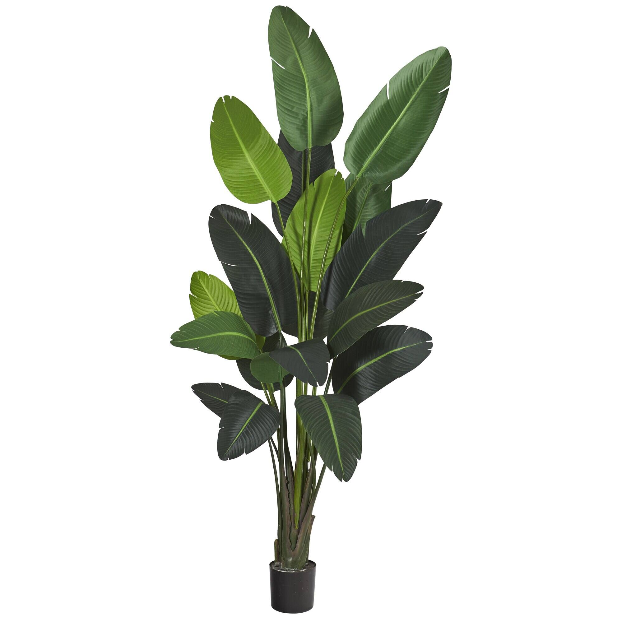 Front. BreeBe - 8' Traveler's Palm Artificial tree - Green.