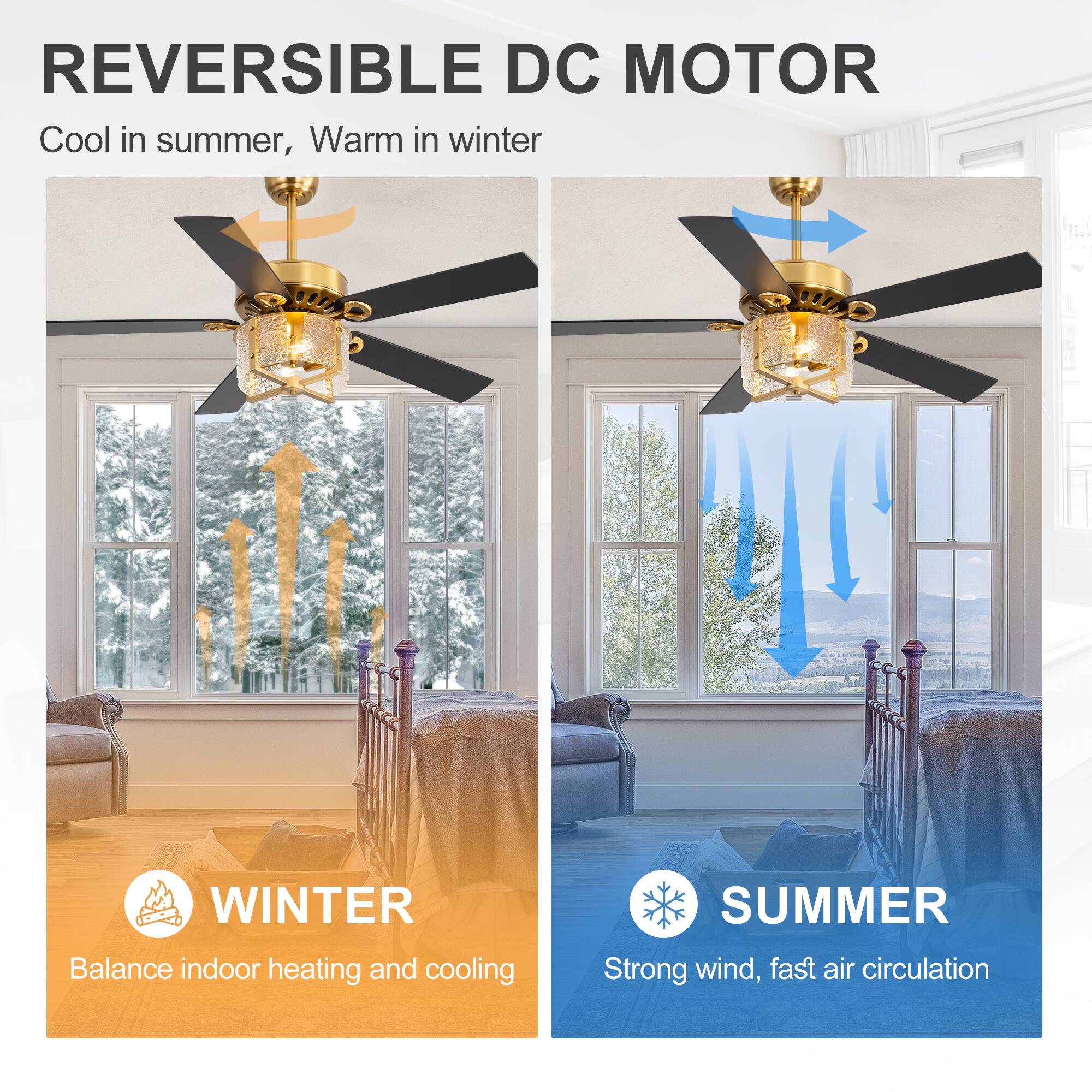 REVERSIBLE DC MOTOR  
Cool in summer, Warm in winter  

WINTER  
Balance indoor heating and cooling  

SUMMER  
Strong wind, fast air circulation