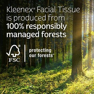 Kleenex® Facial Tissue is produced from 100% responsibly managed forests protecting our forests® FSC