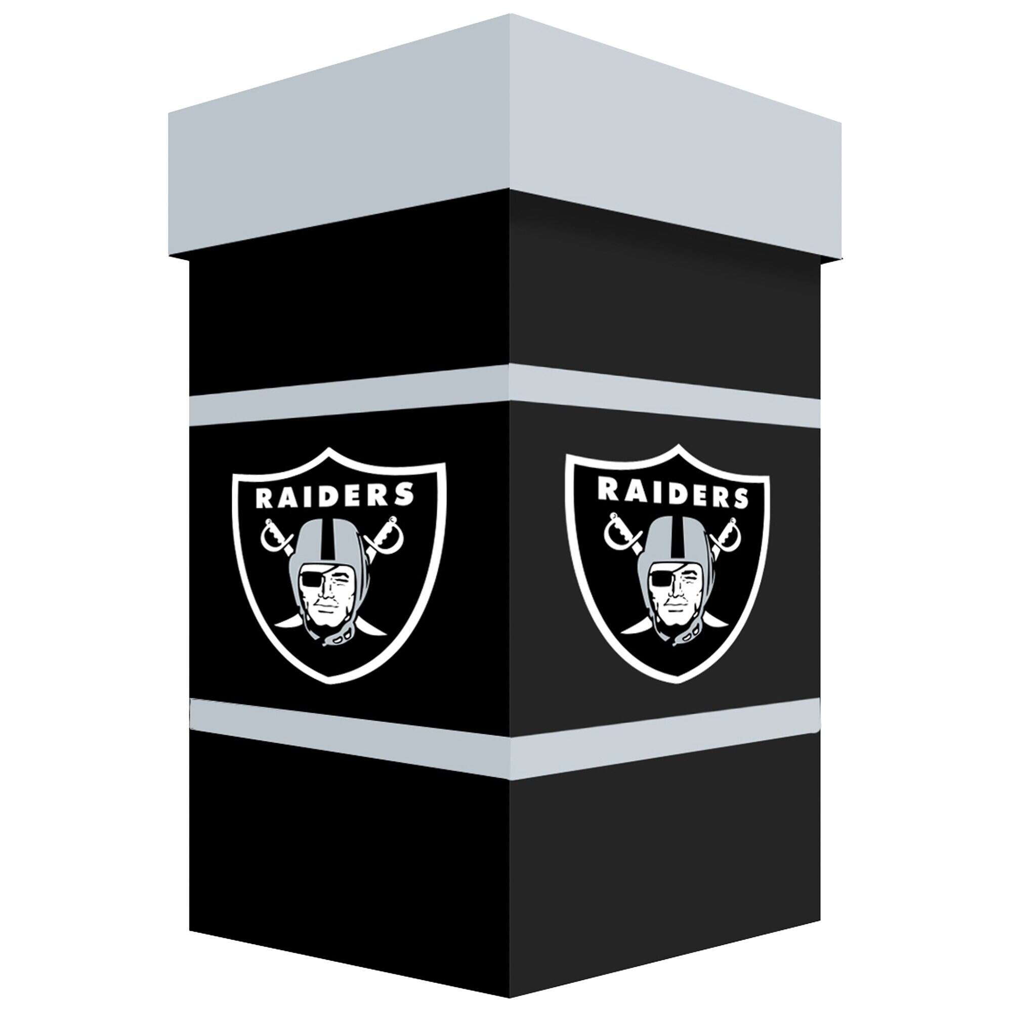 RAIDERS  
RAIDERS