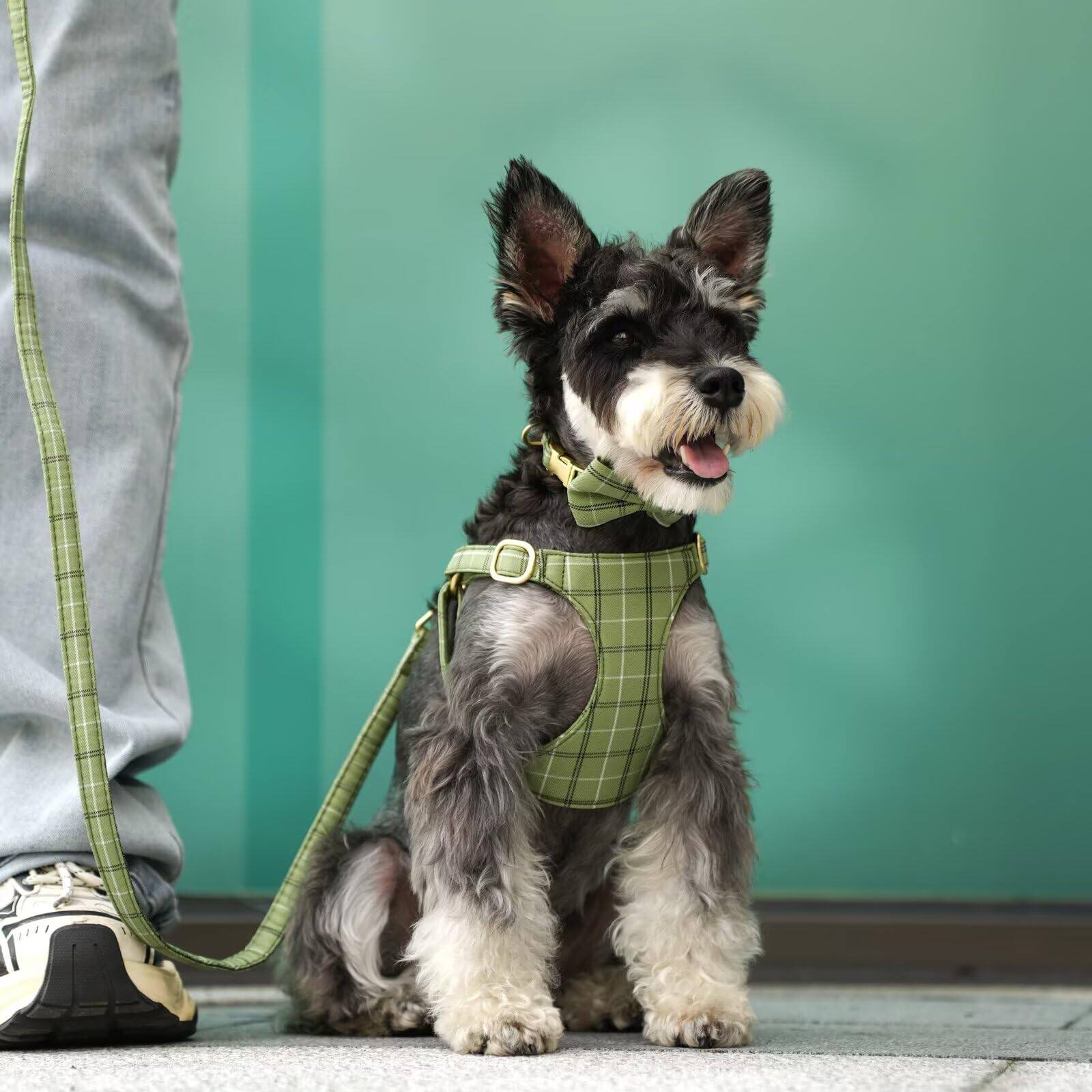 Alt View 3. Paradigms Interiors - Cute Dog Harness Collar And Leash Set With Bowtie Soft Plaid Puppy For Sized Dogs Cats Walks Parties - Beige-S:Fit 9-20 lbs.