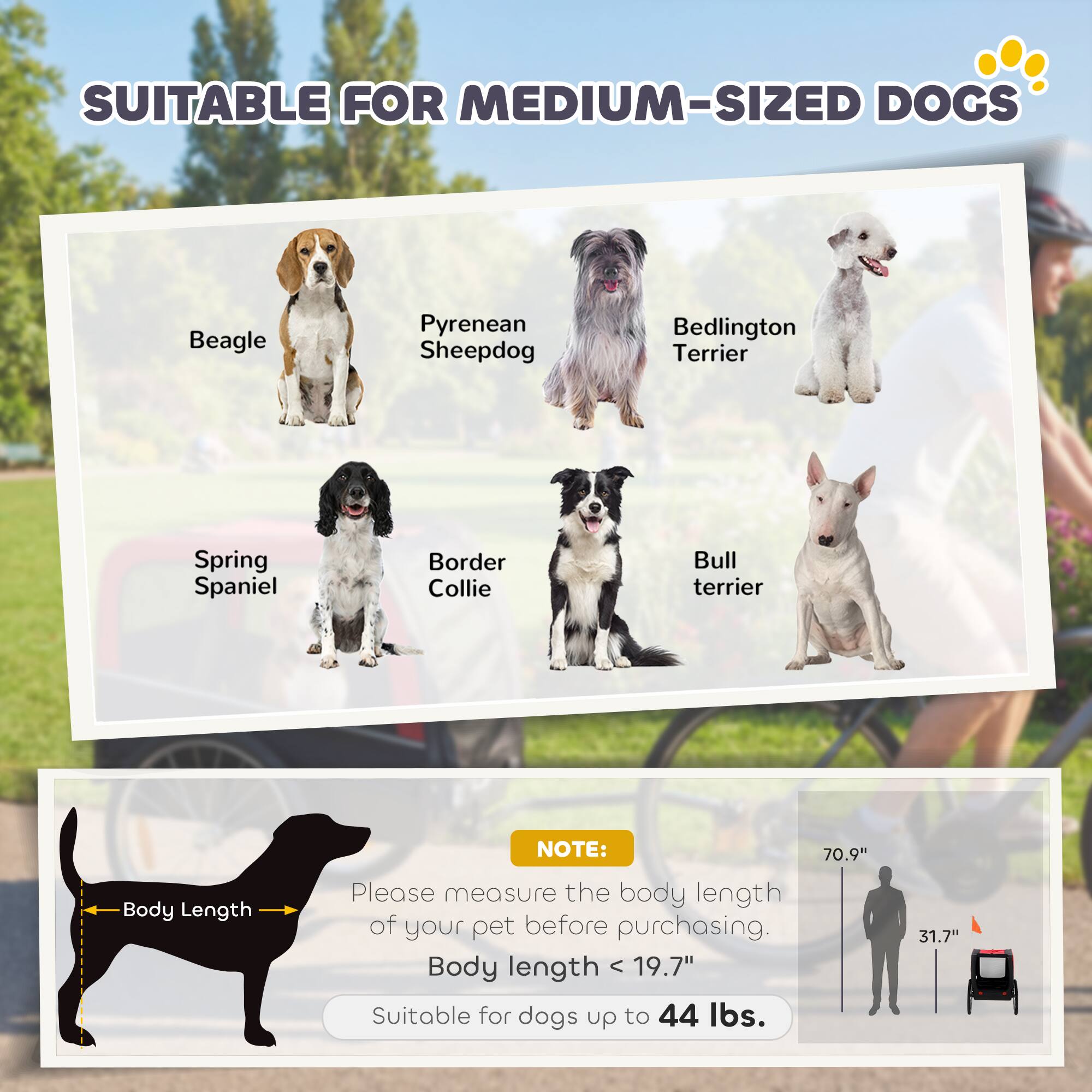 SUITABLE FOR MEDIUM-SIZED DOGS

- Beagle
- Pyrenean Sheepdog
- Bedlington Terrier
- Spring Spaniel
- Border Collie
- Bull Terrier

NOTE: Please measure the body length of your pet before purchasing. Body length < 19.7" Suitable for dogs up to 44 lbs.

Body Length: 70.9"
