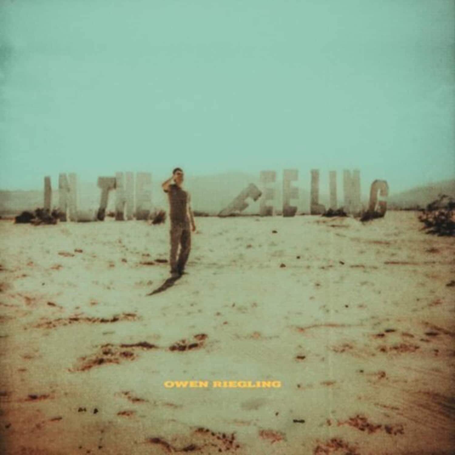 Owen Riegling - In The Feeling   - VINYL LP price history on PriceWatchPro