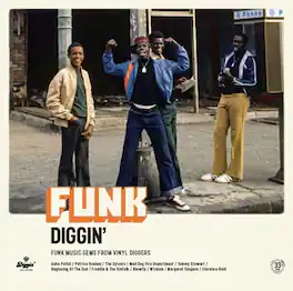 Various Artists - Funk Diggin / Various - VINYL LP