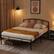 Back. Hivvago - Hivvago Queen size Metal Platform Bed Frame with Arched Headboard - Black.