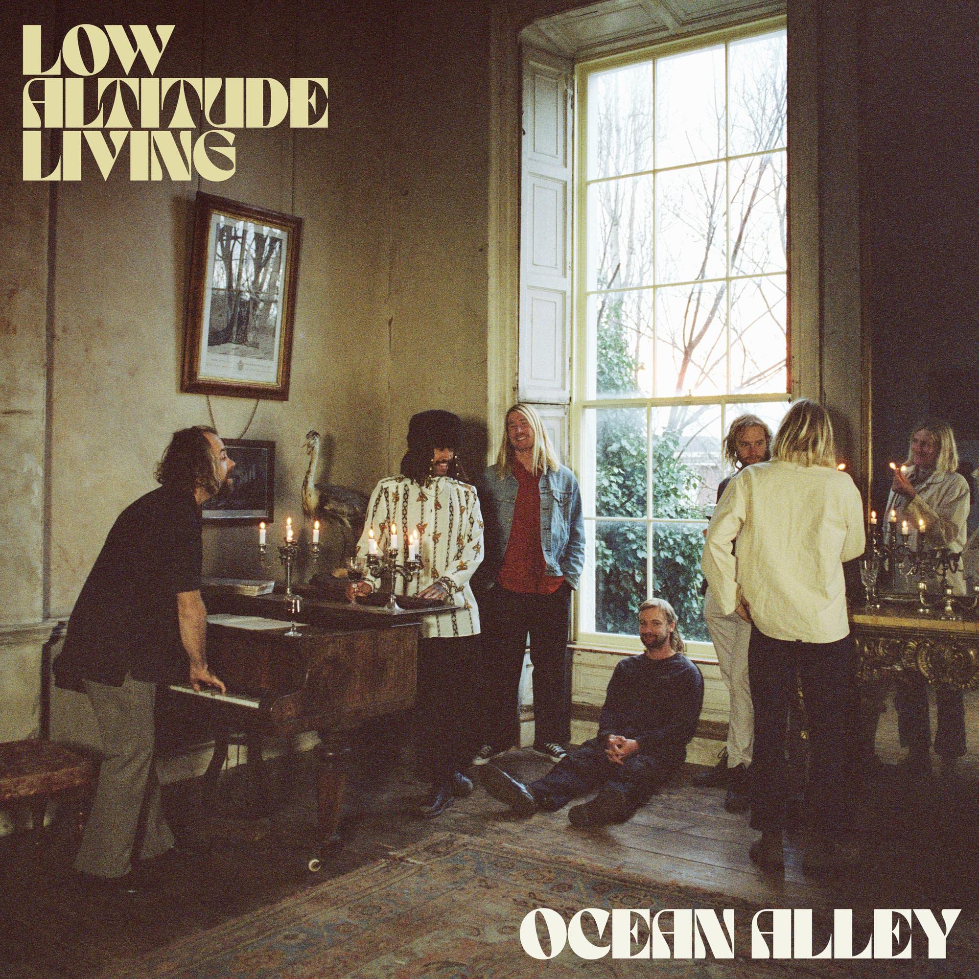 Low Altitude Living [LP] [VINYL]