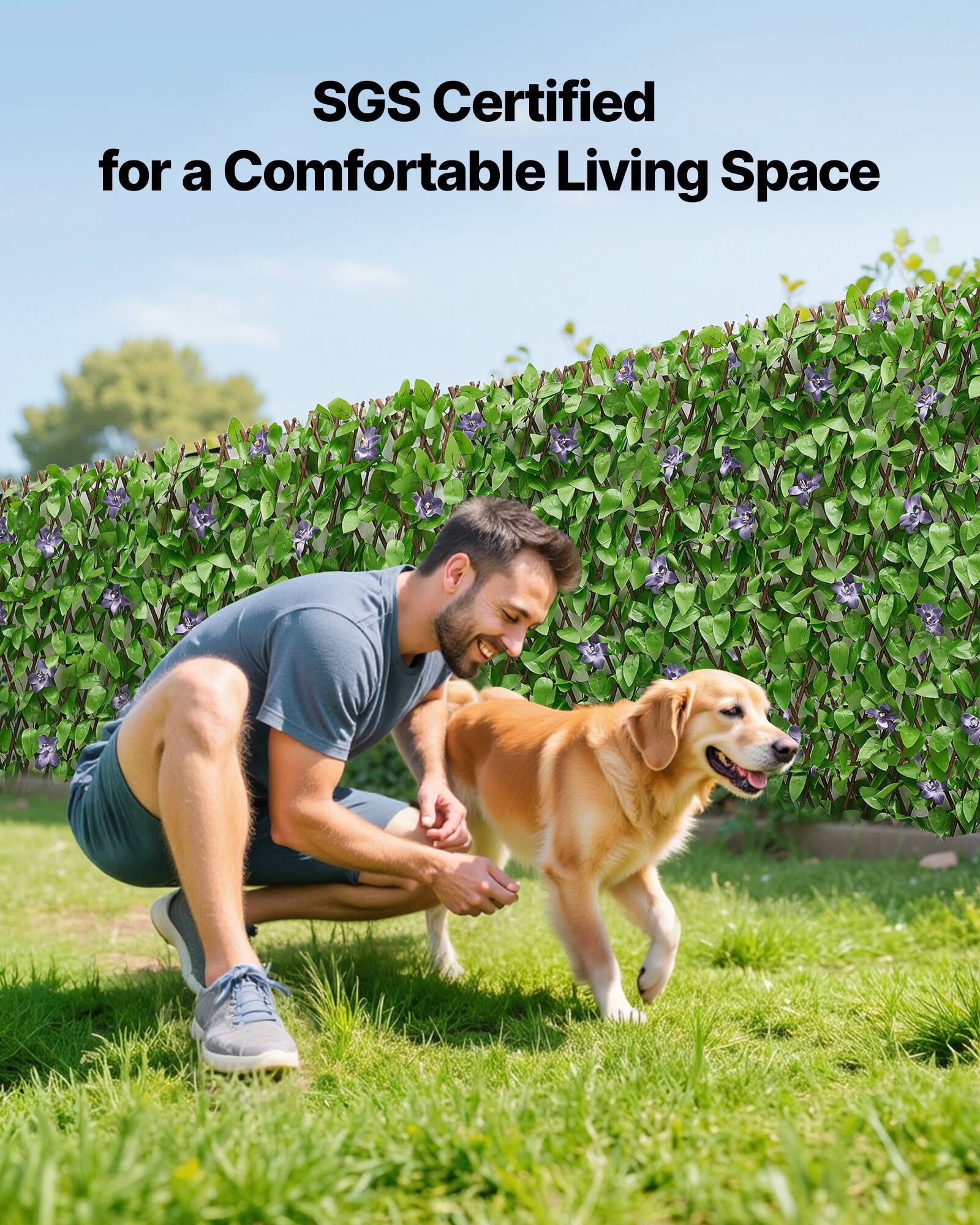 SGS Certified for a Comfortable Living Space