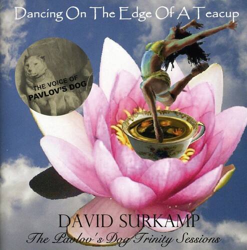 David Surkamp - Dancing on the Edge of a Teacup - COMPACT DISCS [CD]