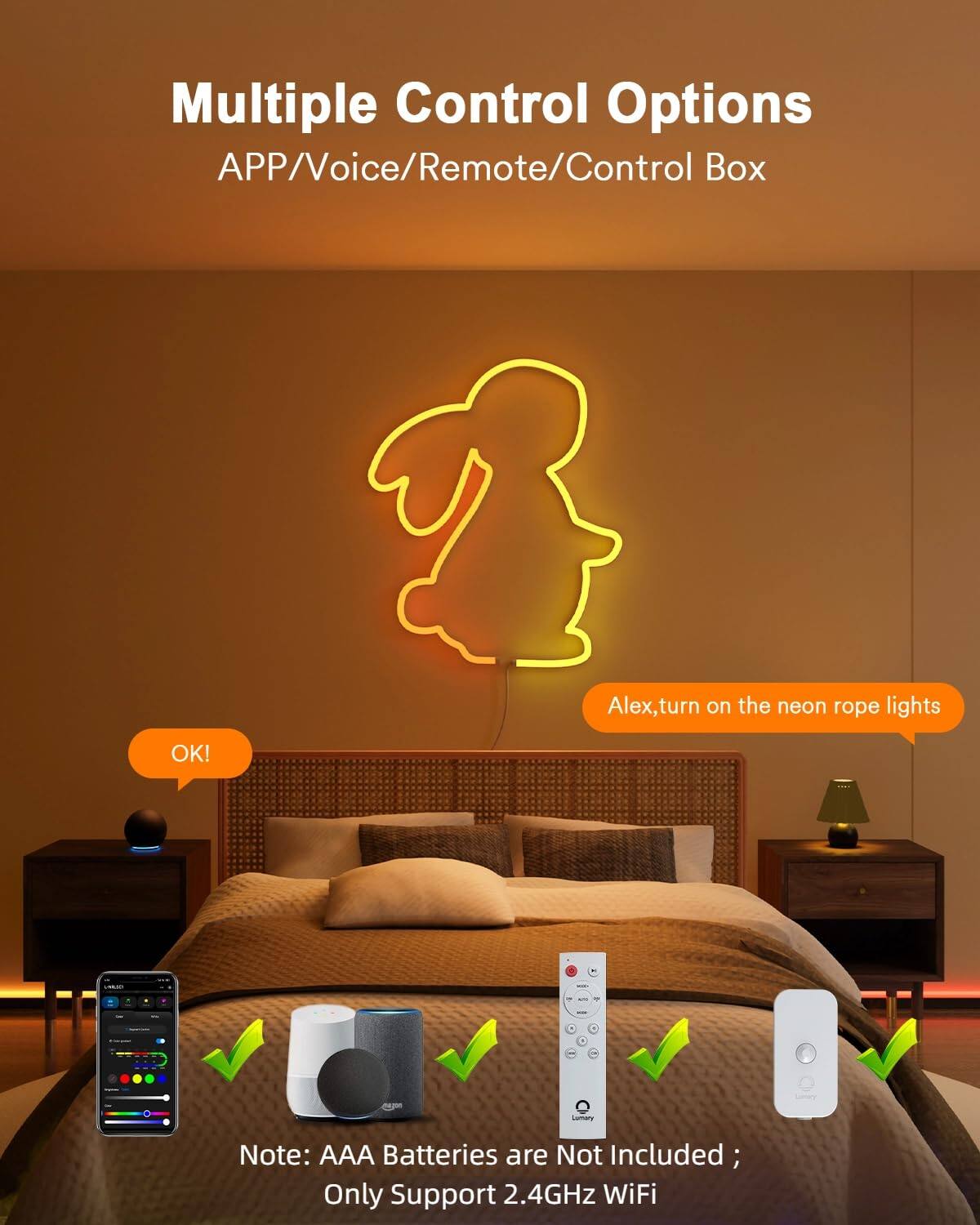 Multiple Control Options  
APP/Voice/Remote/Control Box  

Alex, turn on the neon rope lights  
OK!  

Note: AAA Batteries are Not Included; Only Support 2.4GHz WiFi