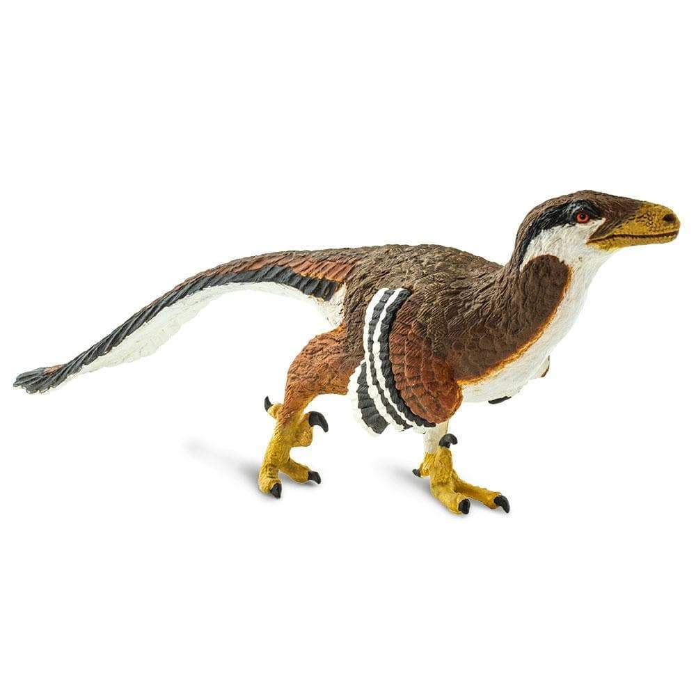 Back. Safari Ltd. - Deinonychus.