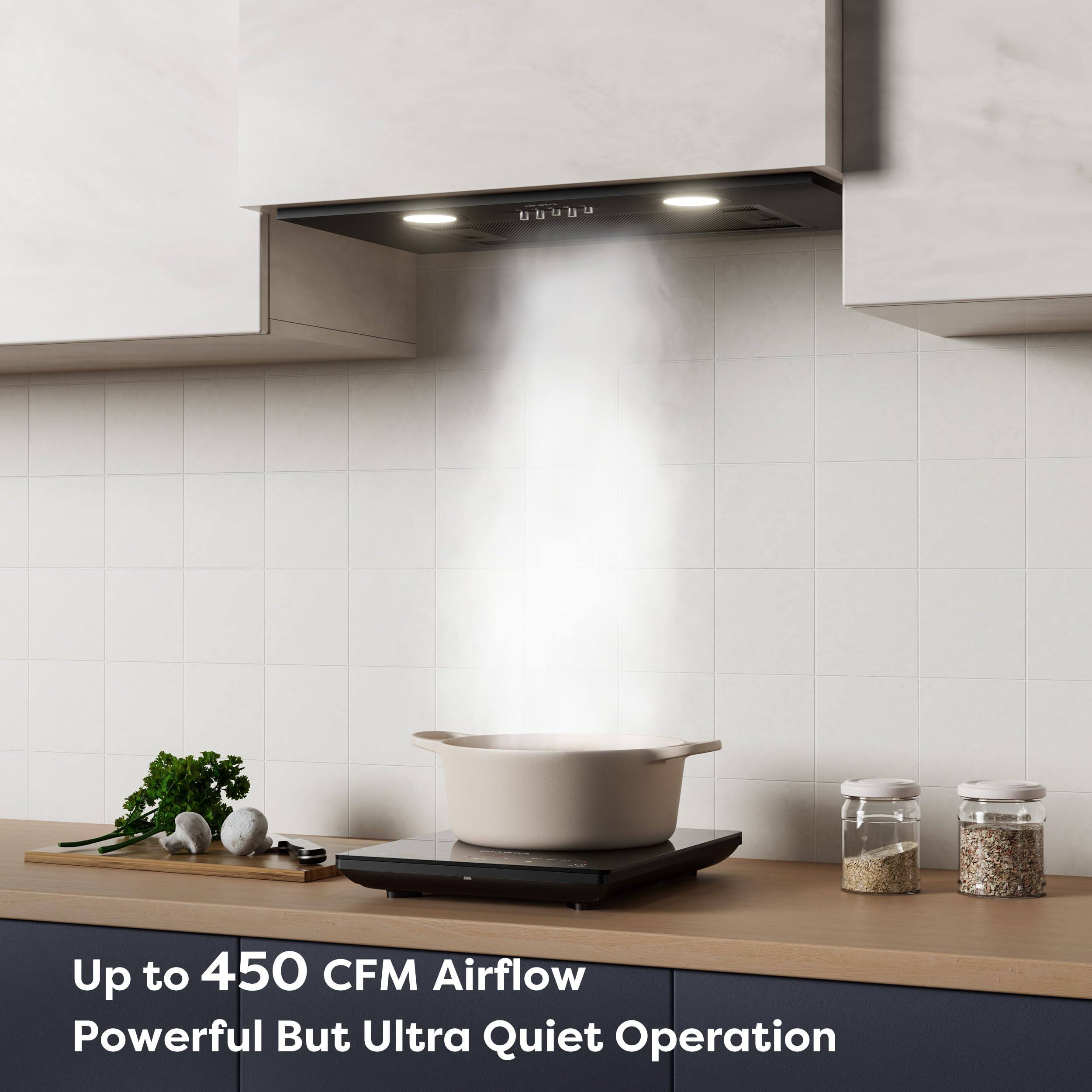 Up to 450 CFM Airflow  
Powerful But Ultra Quiet Operation
