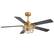 Angle. Breezary - 52-Inch Indoor Ceiling Fan with Light Kit, 5 Plywood Dual-Finish Blades, DC Motor, 5/10'' Downrods, Remote, Glass Shade - Electroplated Gold with Black and Deep Red Walnut.