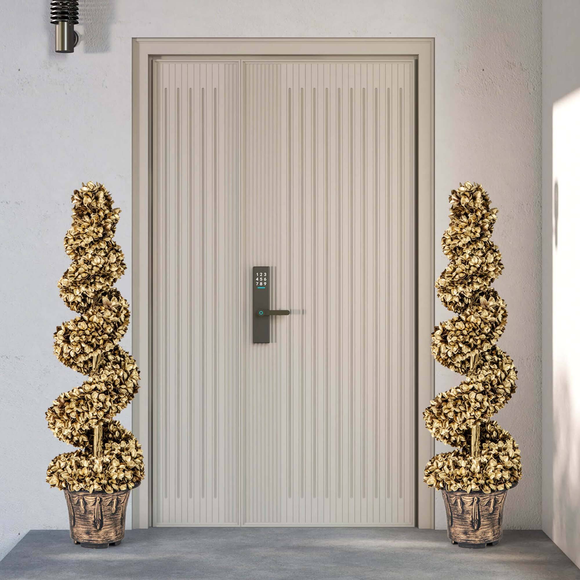 The image shows a modern, light-colored door with vertical panels. On either side of the door, there are tall, spiral-shaped arrangements of dried flowers or foliage in large, rustic pots. The door has a sleek handle and a digital keypad next to it. The setting appears to be indoors, with a minimalist and elegant design.