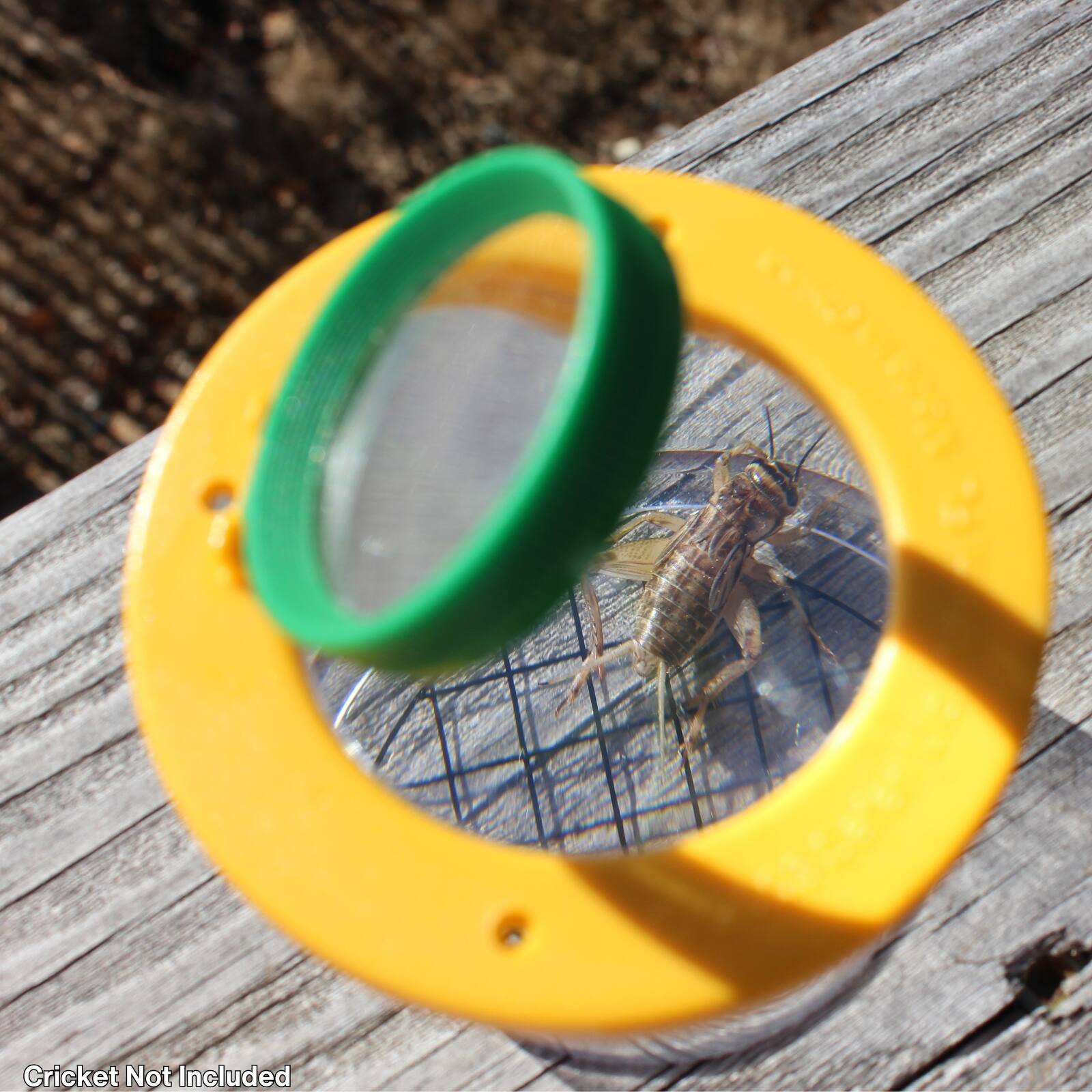 Cricket Not Included