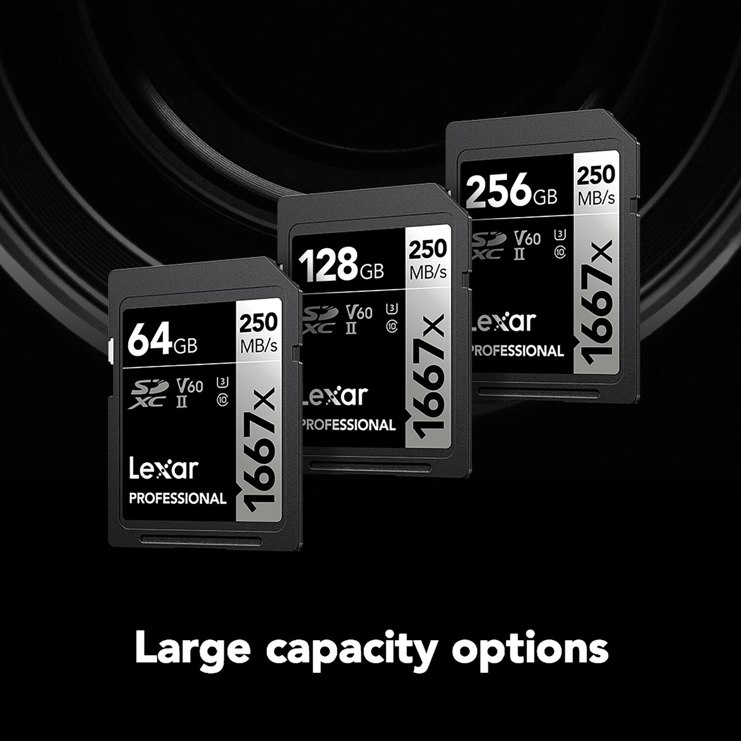 250 GB 256GB 250 MB/s V60 XC II 128GB 64GB 250 MB/s II V60 3 C exar PROFESSIONAL 1667x XC SP II V60 3J PROFESSIONAL Lexar 1667 PROFESSIONAL Lexar 1667x Large capacity options