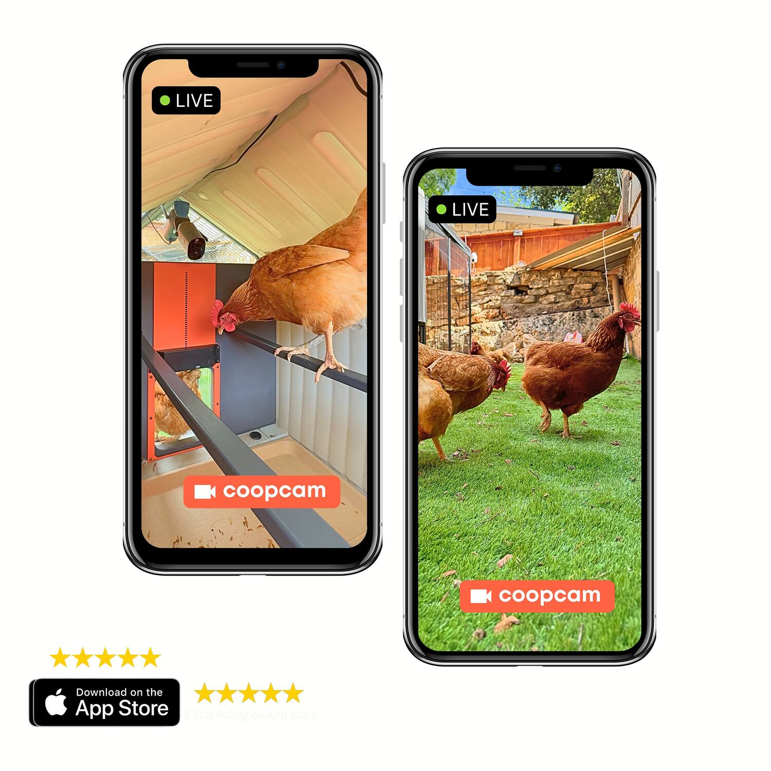 LIVE LIVE  
coopcam  
Download on the App Store  
5 star Rating on App Store
