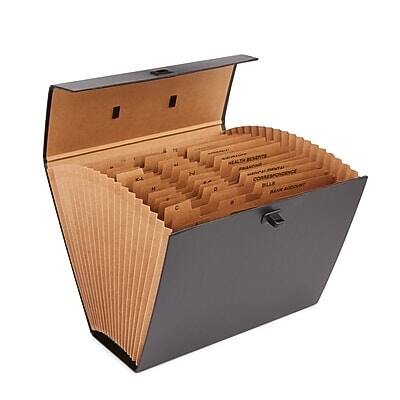 Staples - Heavy-Duty Case File, Multiple Index, 19-Pocket, Letter Size, (ST50561) - Black