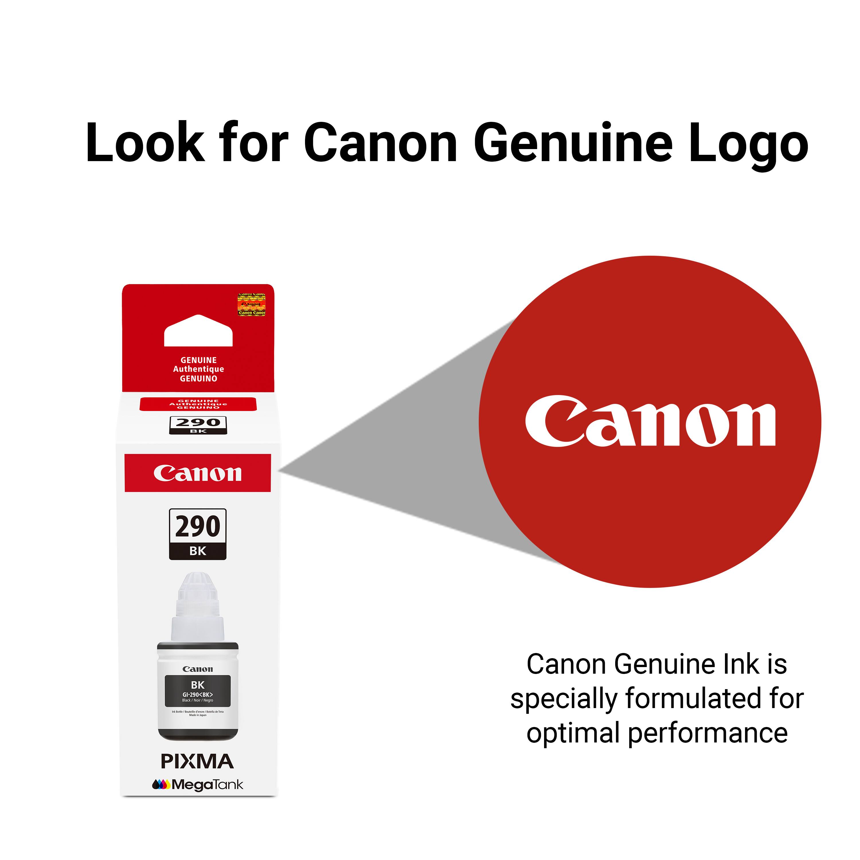 Look for Canon Genuine Logo

Canon Genuine Ink is specially formulated for optimal performance

Canon Genuine Logo GENUINE Authentique GENUINO

Mad 2002TAE 200

Canon 290 BK

PIXMA MegaTank