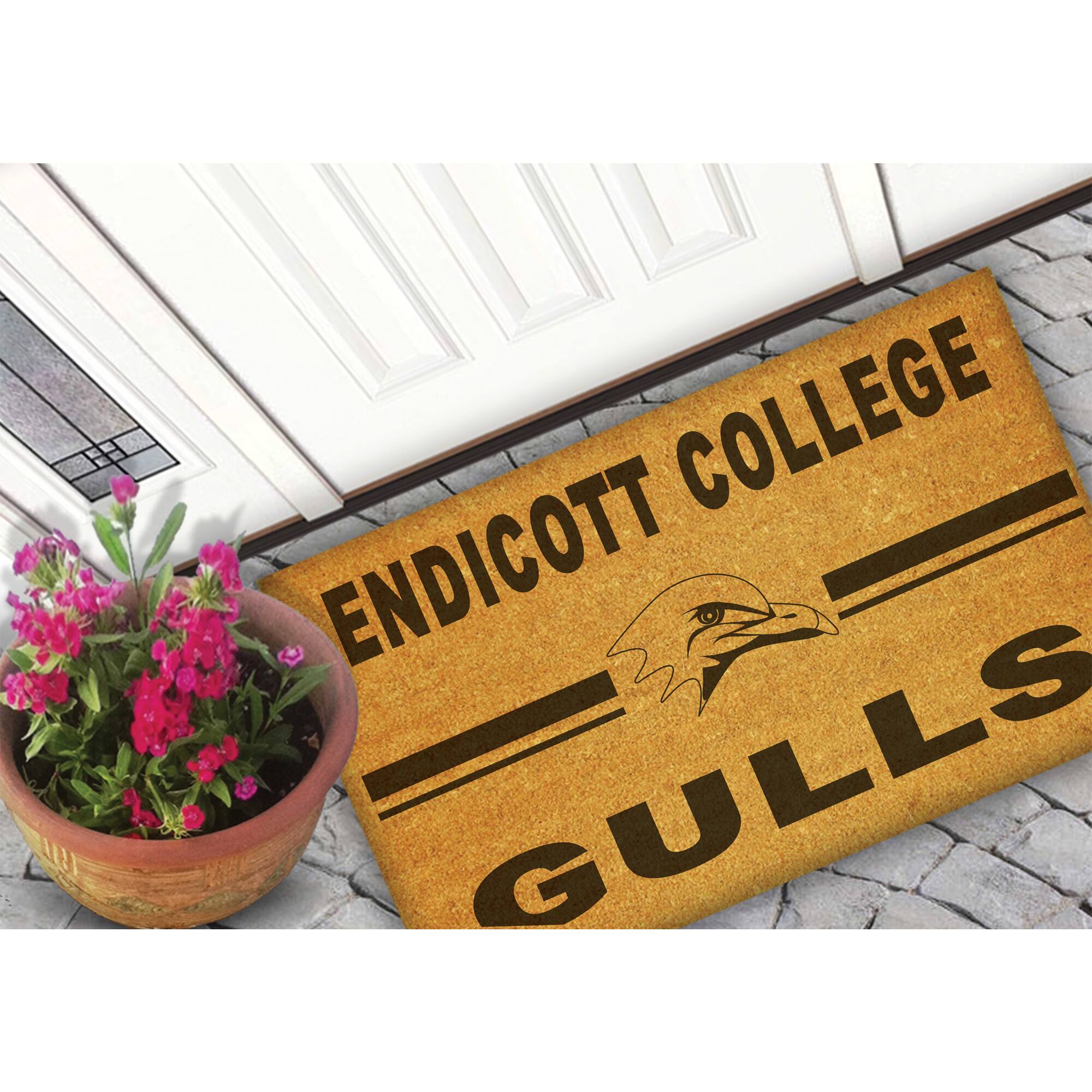 Endicott College  
Gulls