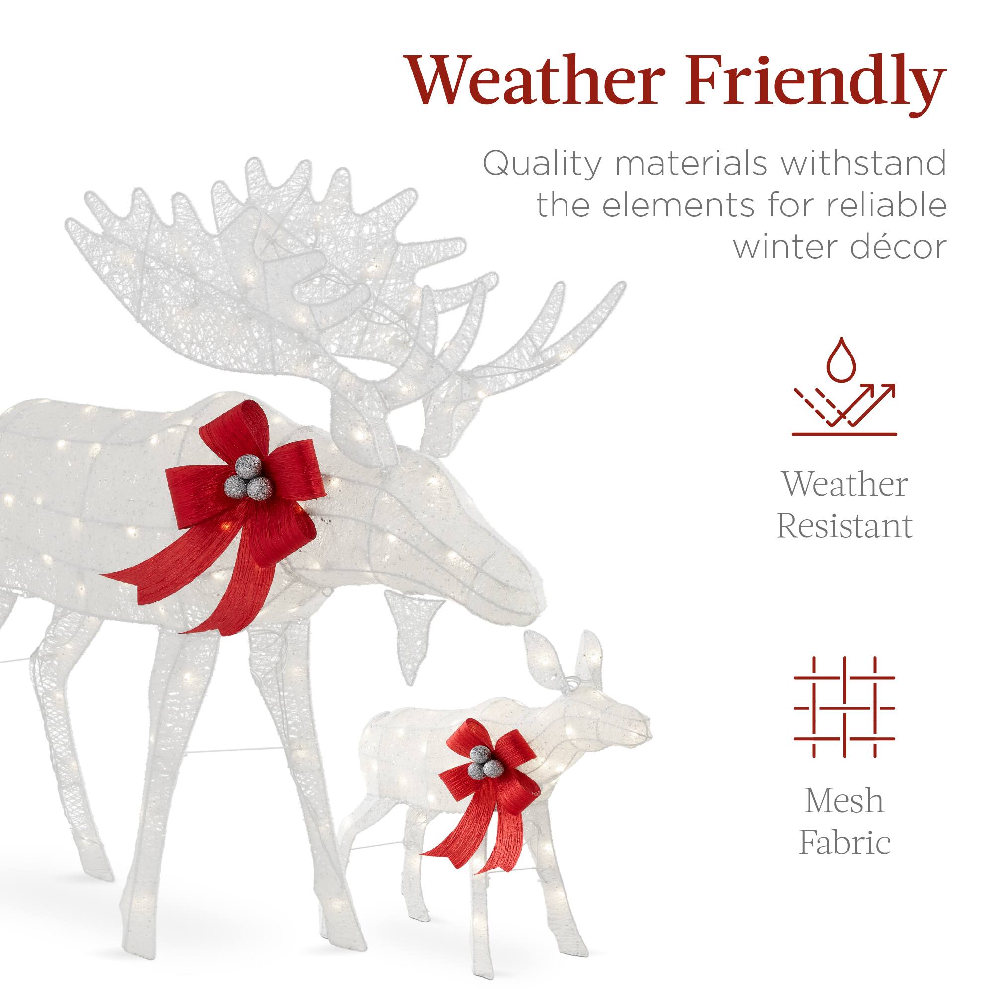 Weather Friendly

Quality materials withstand the elements for reliable winter décor

Weather Resistant

Mesh Fabric