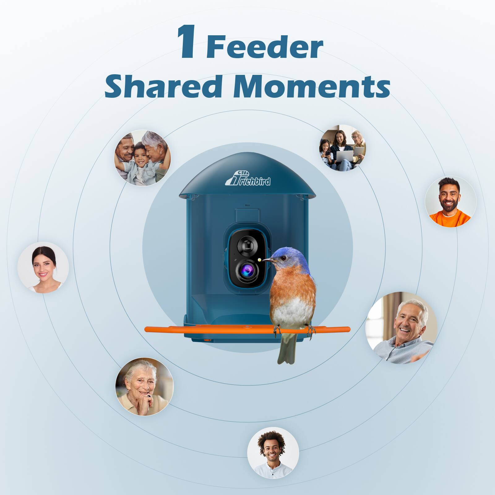 1 Feeder  
Shared Moments  
Frichbird