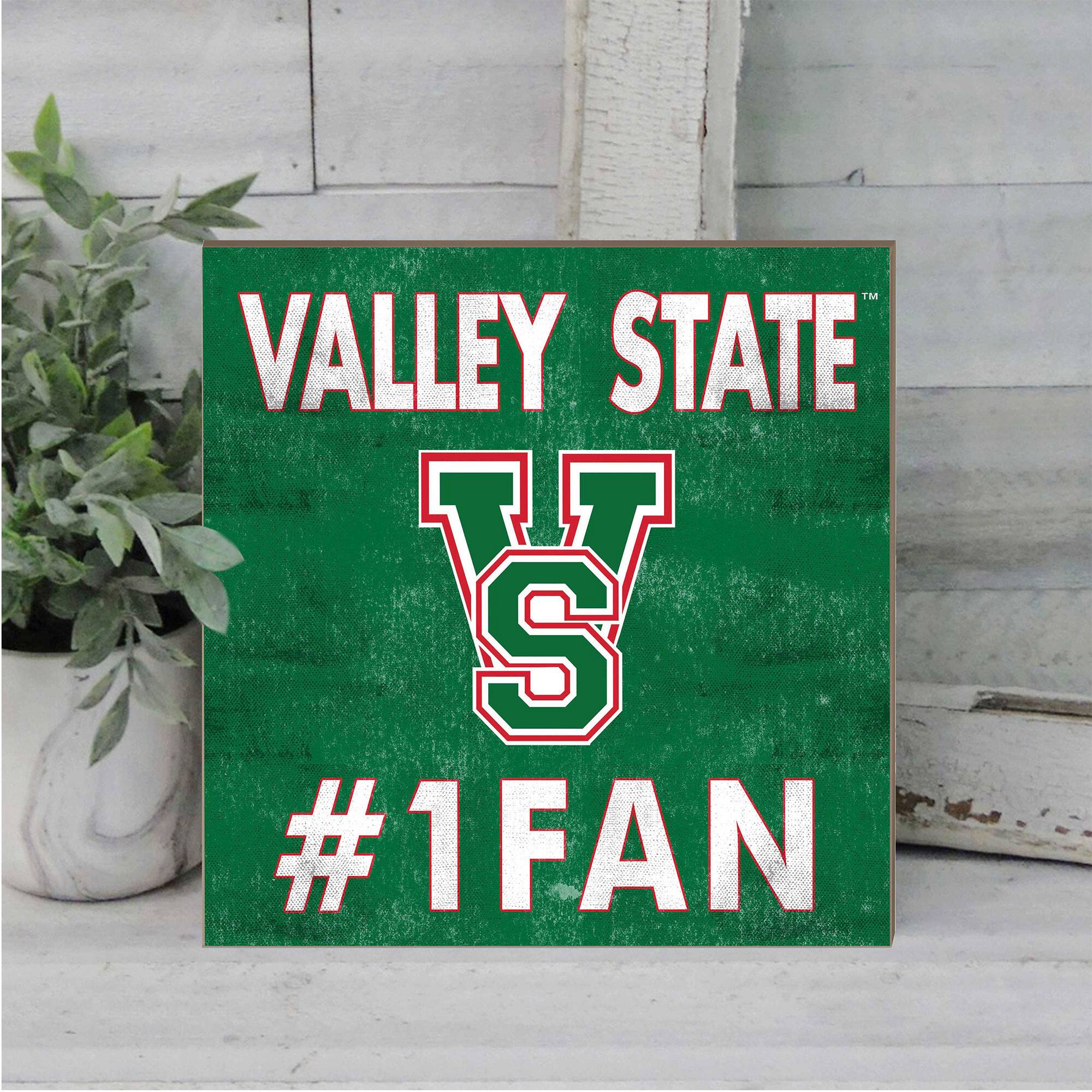 VALLEY STATE  
VS  
#1 FAN