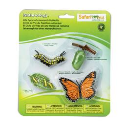 Safari Ltd. - Life Cycle Of A Monarch Butterfly Toy