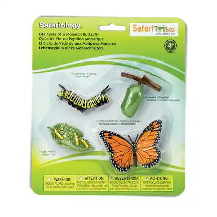 Safariology
Life Cycle of a Monarch Butterfly
Cycle de Vie du Papillon Monarque
El Ciclo de Vida de una Mariposa Monarca
Lebenszyklus eines Monarchfalters
(1) Eggs / Oeufs / Huevos / Eier
(2) Caterpillar / Chenille / Oruga / Raupen
(3) Chrysalis / Chrysalide / Crisálida / Schmetterlingspuppe
(4) Monarch Butterfly / Papillon Monarque / Mariposa Monarca / Monarchfalter
WARNING: ATTENTION: ADVERTENCIA: ACHTUNG:
CHOKING HAZARD - Small Parts
RISQUE D'ÉTOUFFEMENT
RIESGO DE OBSTRUCCIÓN
ERSTICKUNGSGEFAHR
Petites pièces - Ne convient pas aux enfants de moins de 3 ans.
Piezas Pequeñas - No apto para niños menores de 3 años.
Nicht geeignet für Kinder unter 3 Jahren.
Safari Ltd
safariltd.com
4+