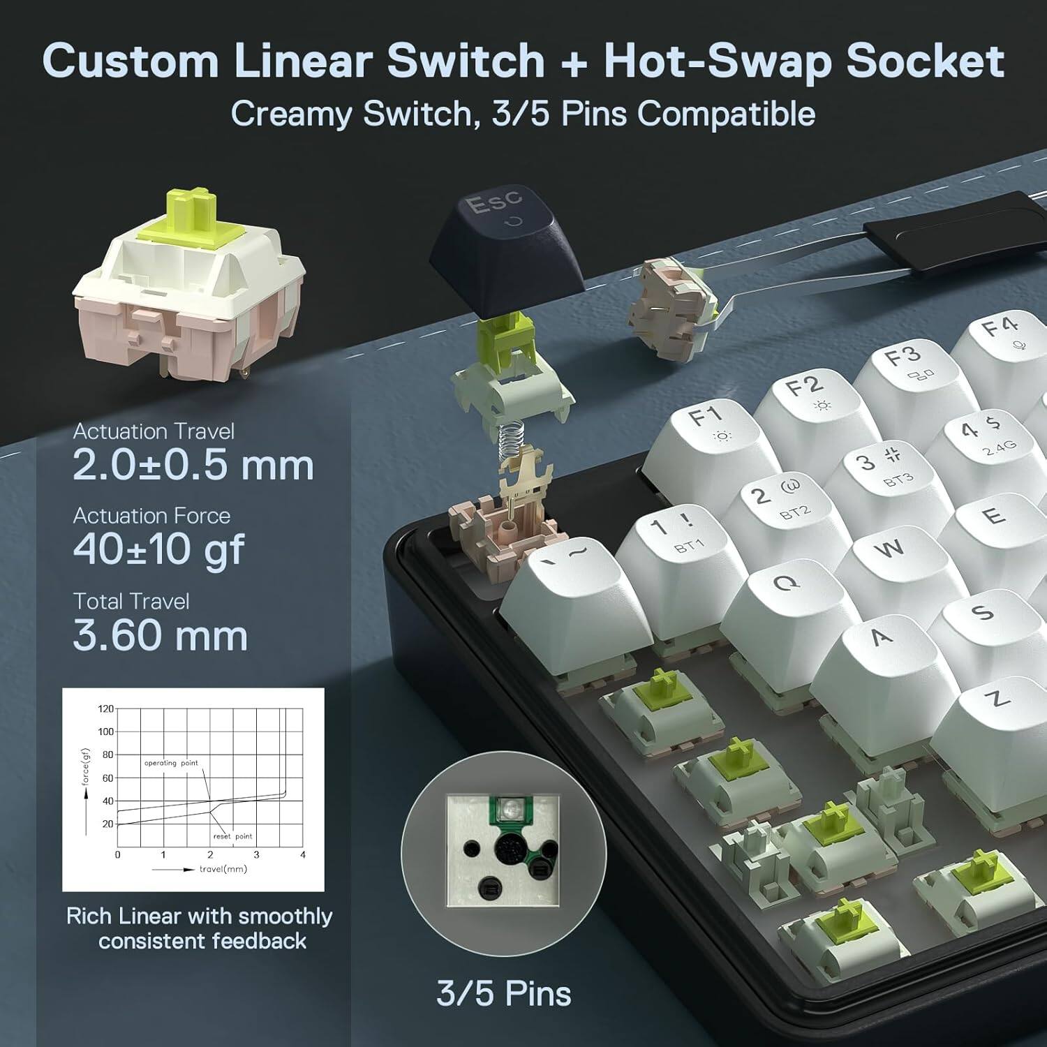 Custom Linear Switch + Hot-Swap Socket  
Creamy Switch, 3/5 Pins Compatible  

Actuation Travel: 2.0±0.5 mm  
Actuation Force: 40±10 gf  
Total Travel: 3.60 mm  

Rich Linear with smoothly consistent feedback  
3/5 Pins