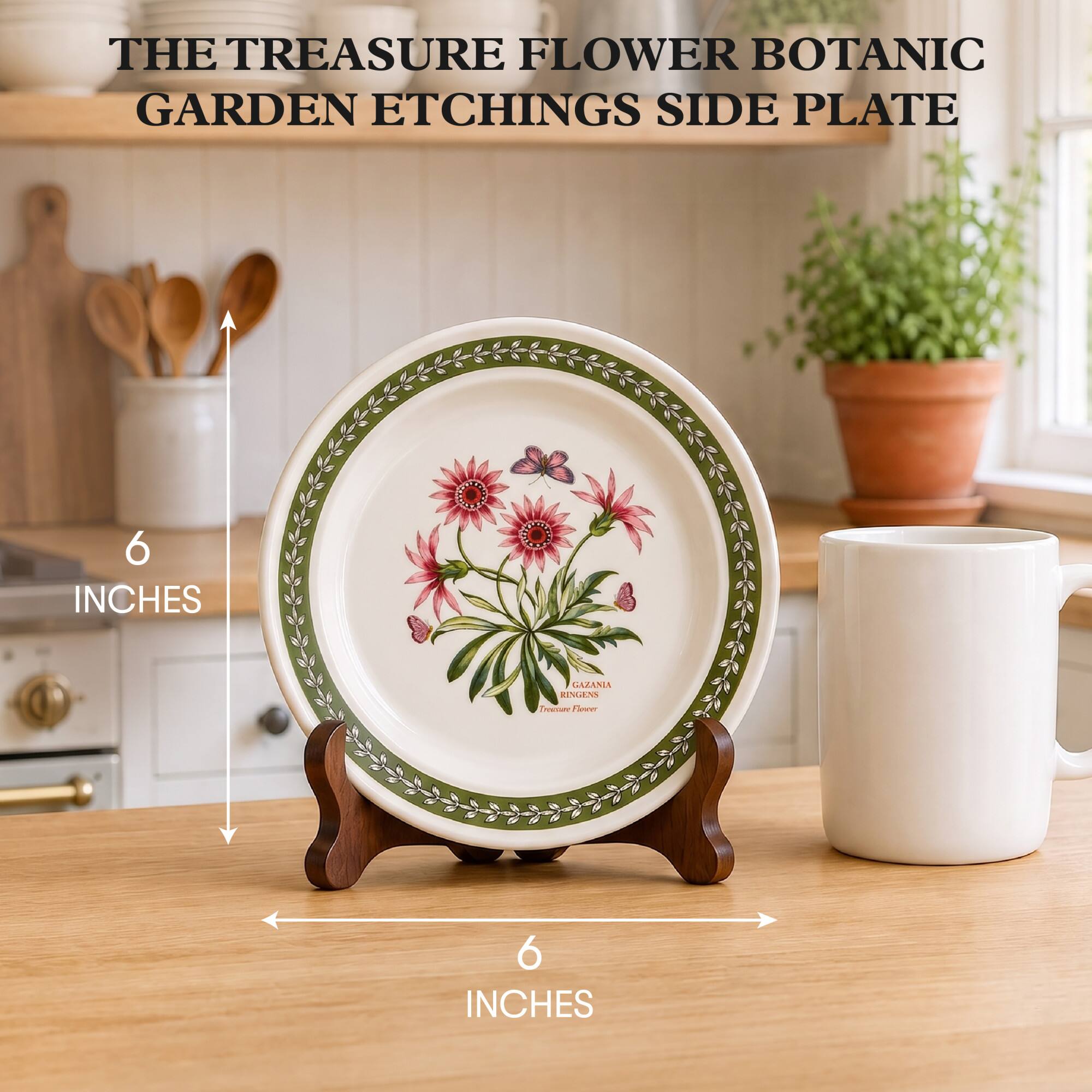 THE TREASURE FLOWER BOTANIC GARDEN ETCHINGS SIDE PLATE

6 INCHES

GAZANA RINGENS Treasure Flower

6 INCHES