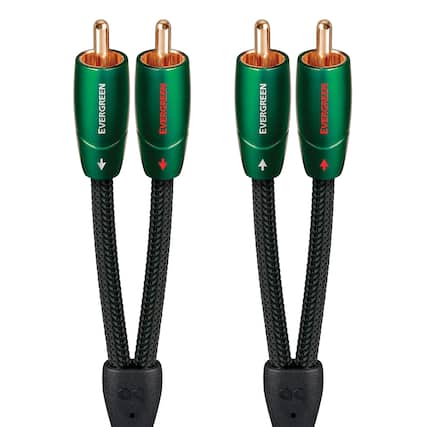 The text on the image reads "EVERGREEN EVERGREEN EVERGREEN EVERGREEN 99 ag." However, it appears to be a duplicate of the same word repeated four times. The correct text should be "EVERGREEN 99 ag."