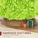 Handwoven Tree Collars
complete your holiday display
*sold separately