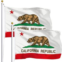 G128 - California State Flag 3x5 ft 2-Pack Printed Polyester - Assorted Colors