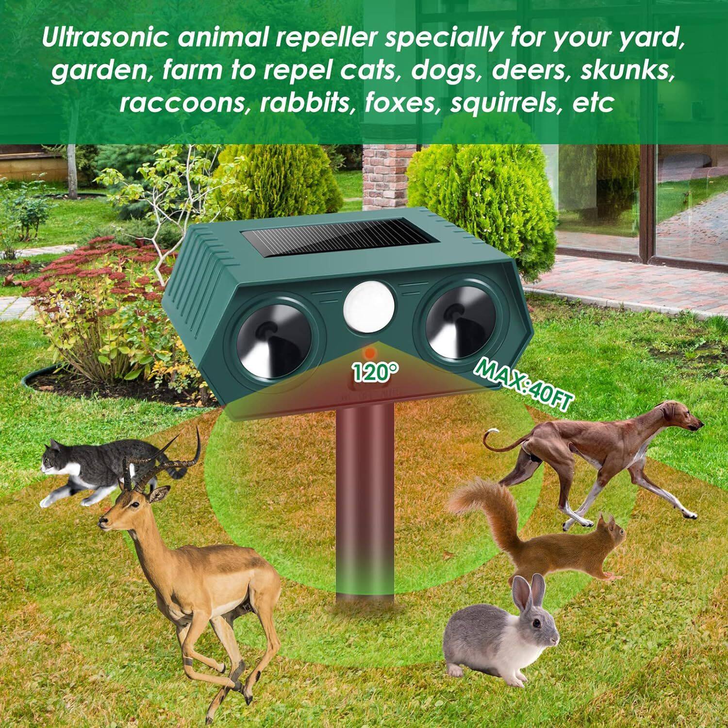 Ultrasonic animal repeller specially for your yard, garden, farm to repel cats, dogs, deers, skunks, raccoons, rabbits, foxes, squirrels, etc.

120° MAX: 40FT