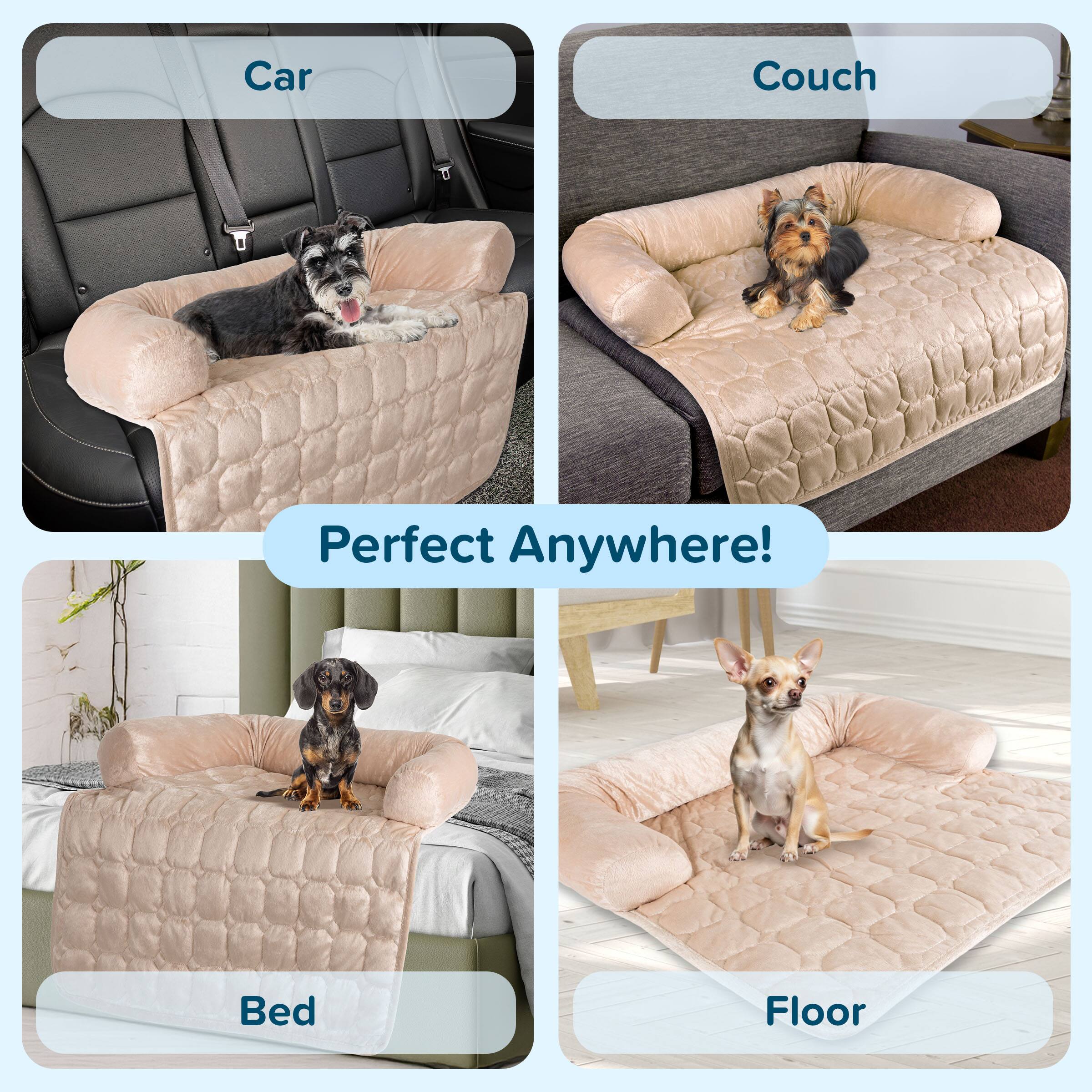 Car Couch Perfect Anywhere! Bed Floor