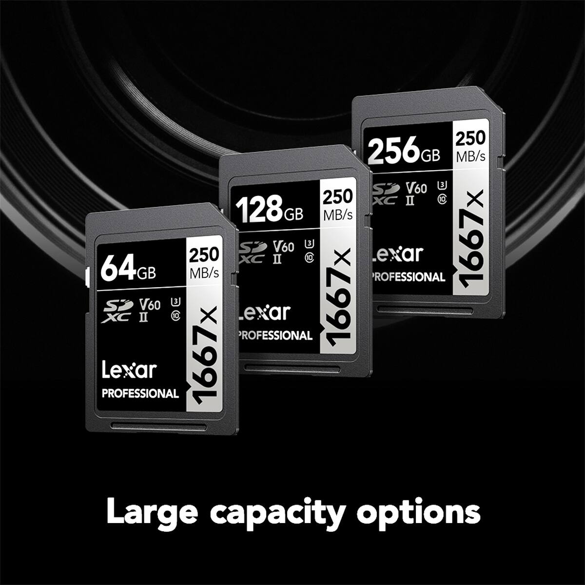 250 MB/s 256GB V60 XC II  
250 MB/s 128GB V60 XC II  
250 MB/s 64GB V60 XC II  
Lexar PROFESSIONAL 1667x  
Large capacity options