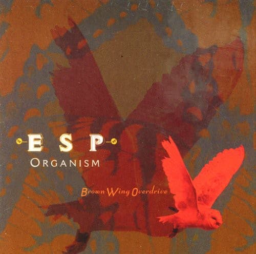 ESP Organism  
Brown Wing Overdrive