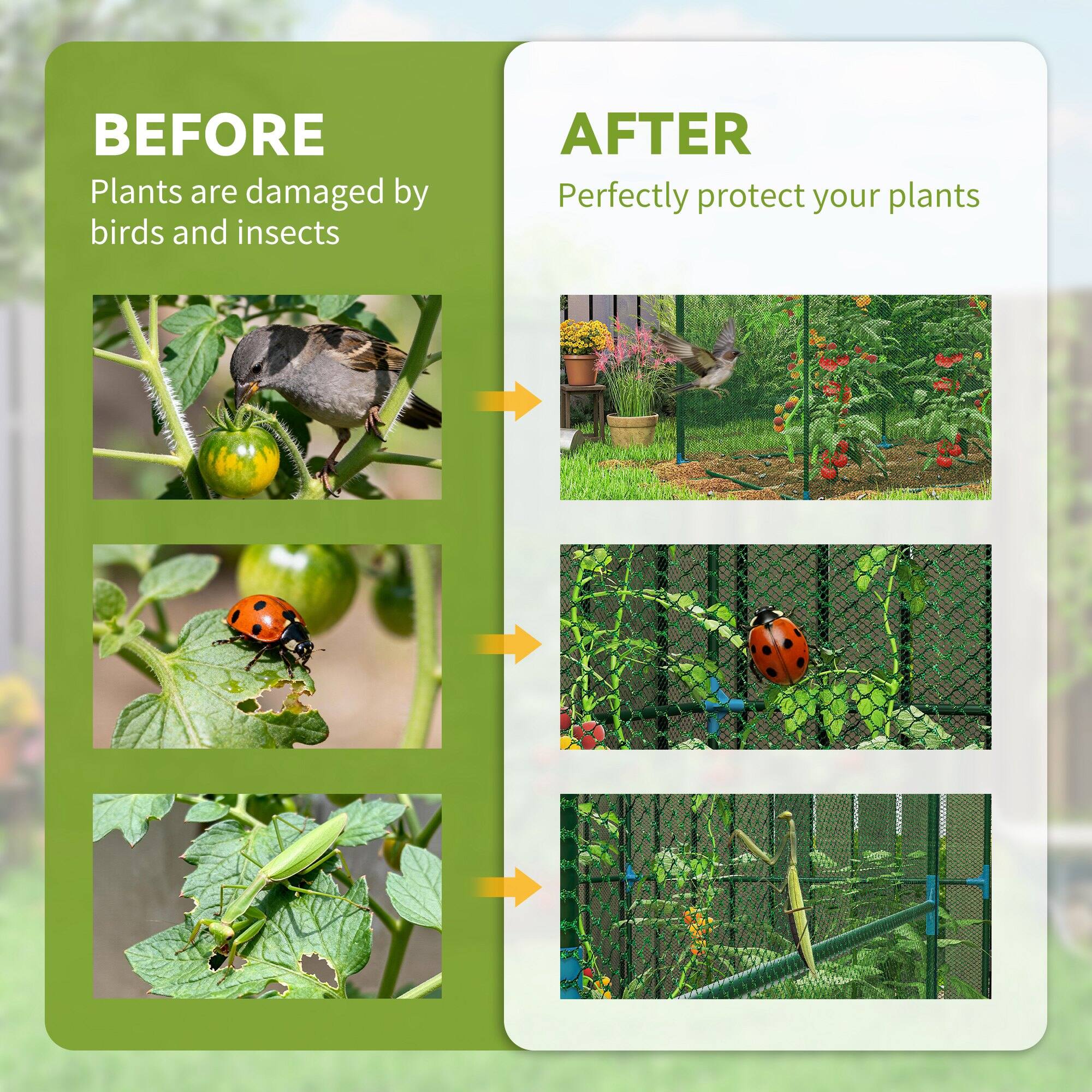 BEFORE  
Plants are damaged by birds and insects  

AFTER  
Perfectly protect your plants