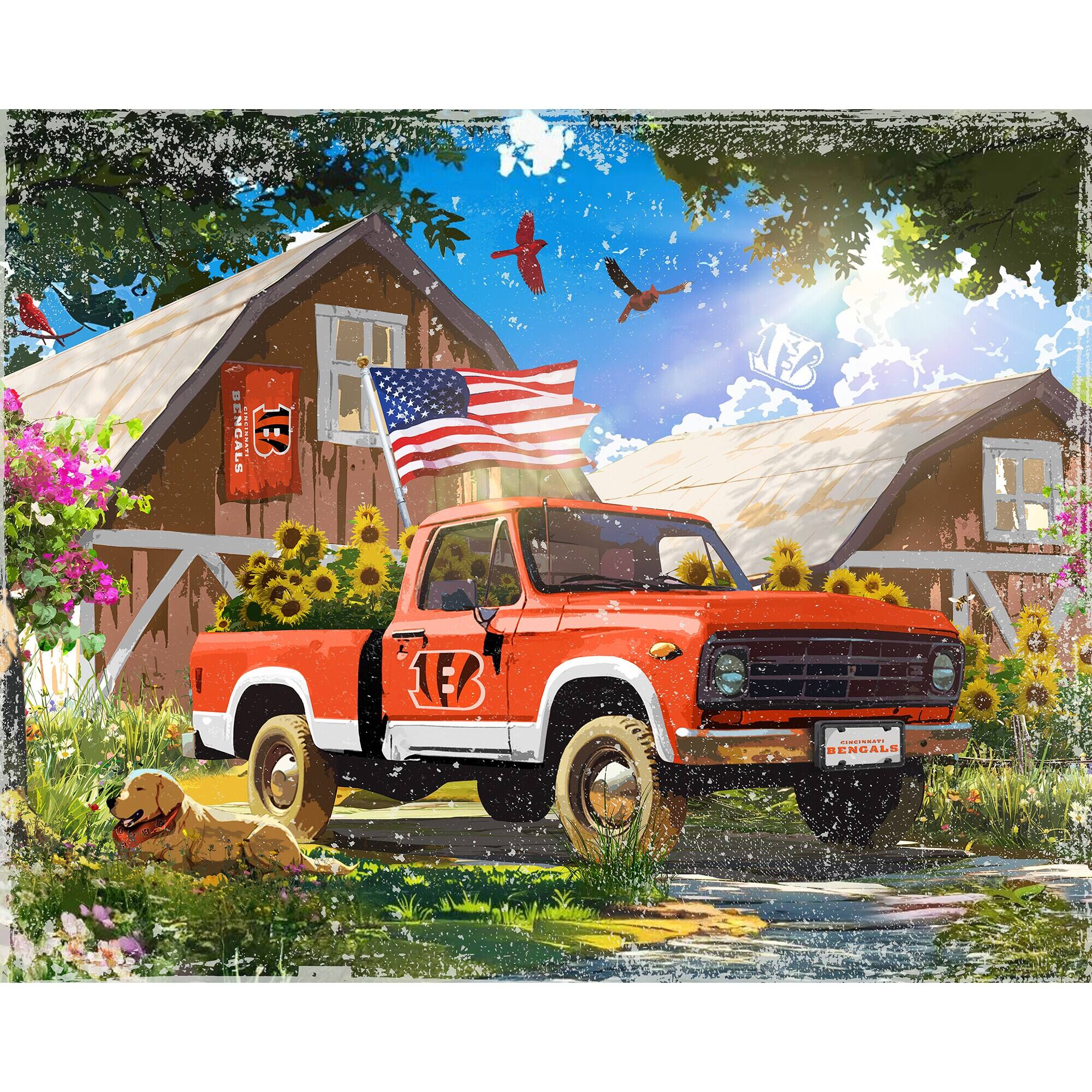 BENGALS  
BENGALS  
BENGALS