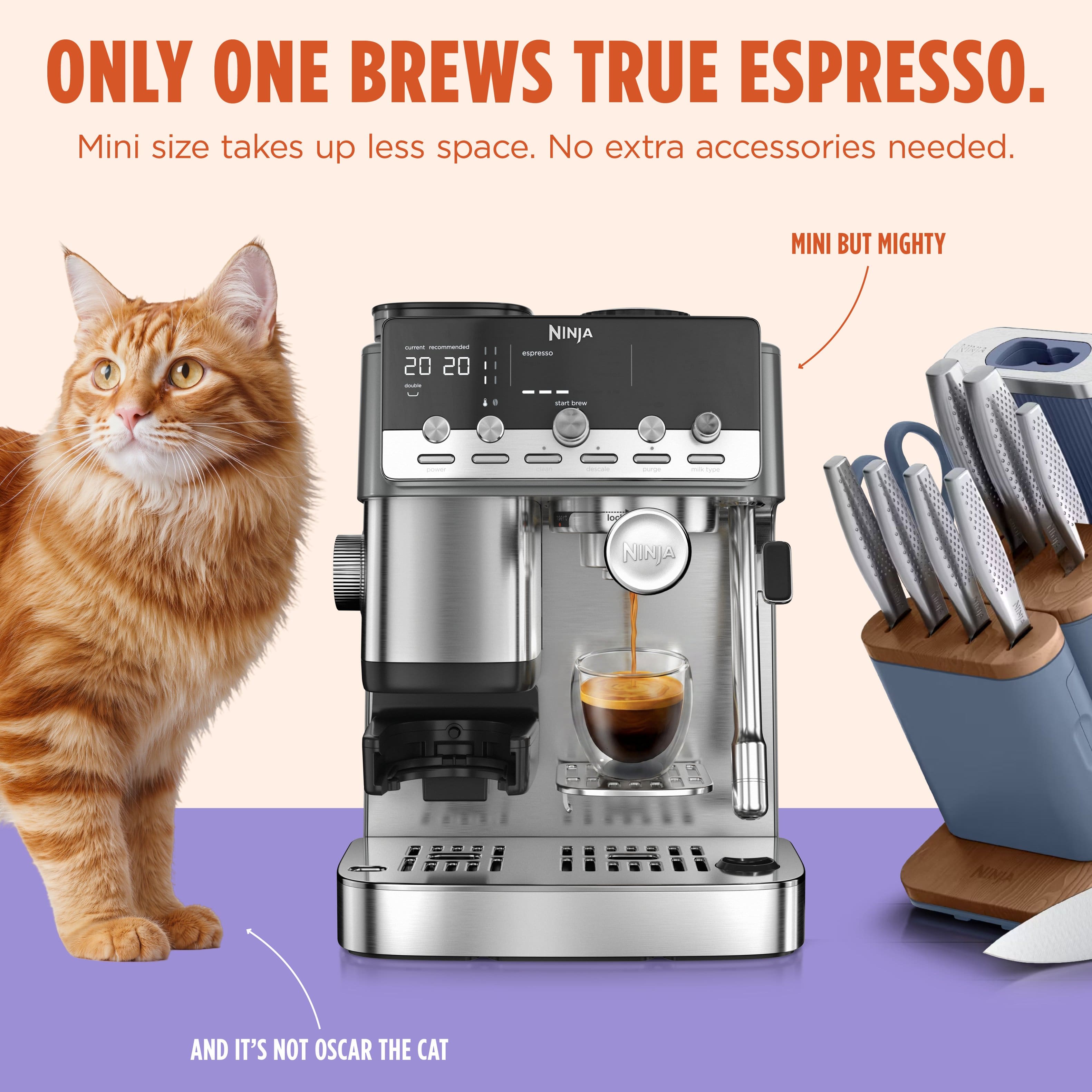 Ninja Luxe™ Café Mini Plus AutoFroth Espresso Machine & Drip
